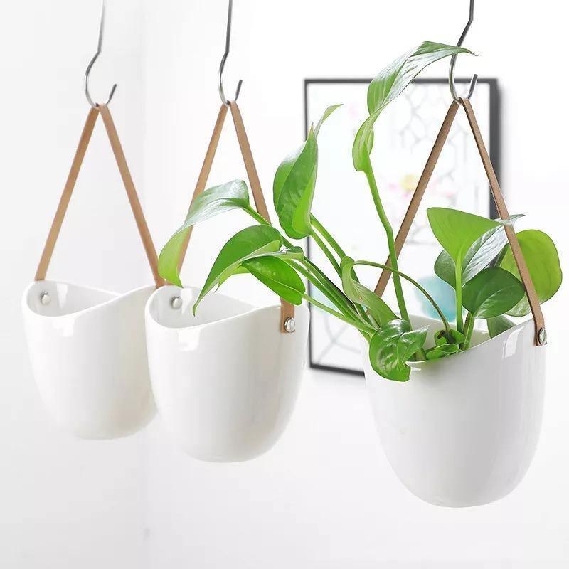 Transform Any Room Instantly with Stylish Hanging Planters