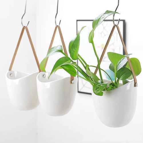 Transform Any Room Instantly with Stylish Hanging Planters