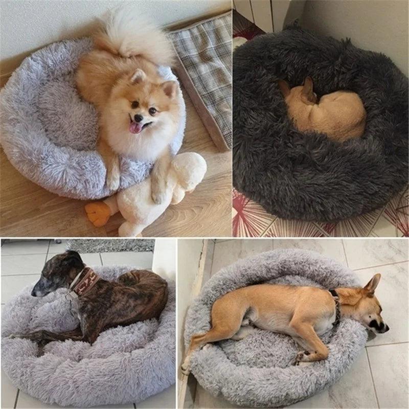 Plush Donut Bed for Deep, Restful Sleep of Your Pet