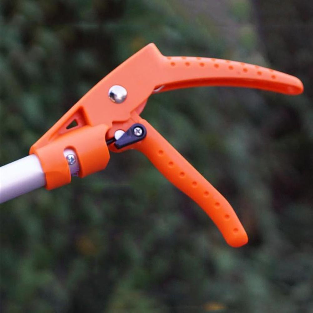 Tree Branch Cutter – Easily Reach and Trim High Branches