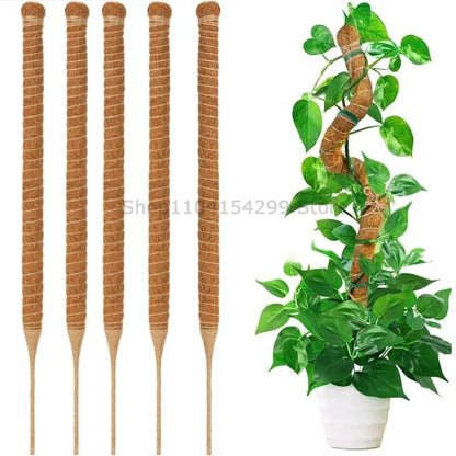Large Coconut Plant Support Stake | Flexible Coco Fiber Support | Ideal for Monstera & Climbing Plants