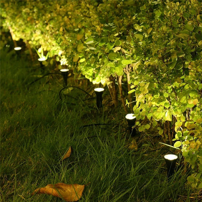 Solar Garden Lights | LED Pathway Illumination for Lawn & Patio | IP65 Waterproof