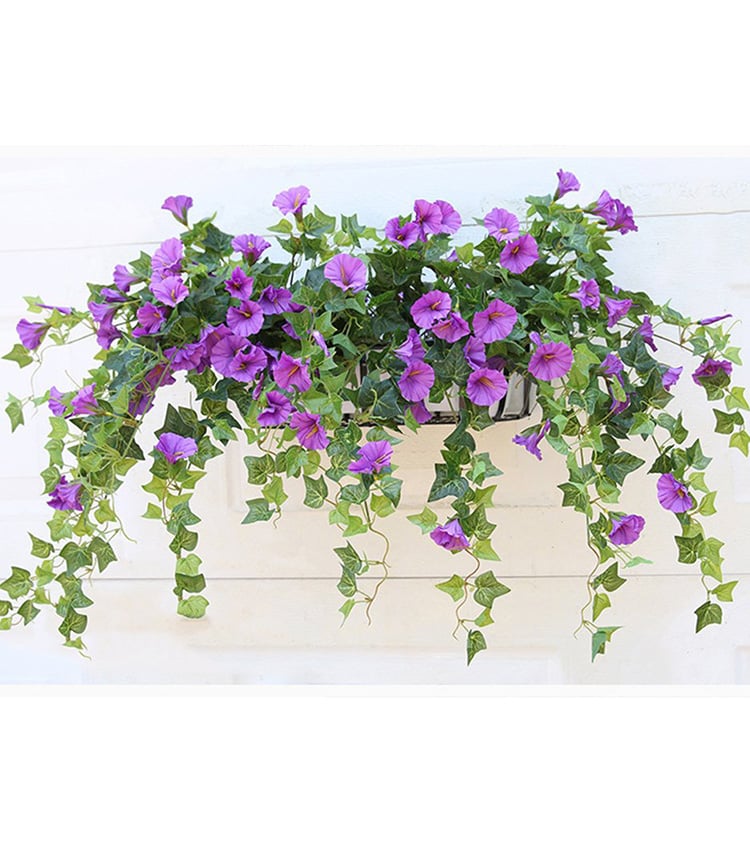 Buy 3, Get 3 Free | Vibrant, Low-Maintenance Color That Lasts