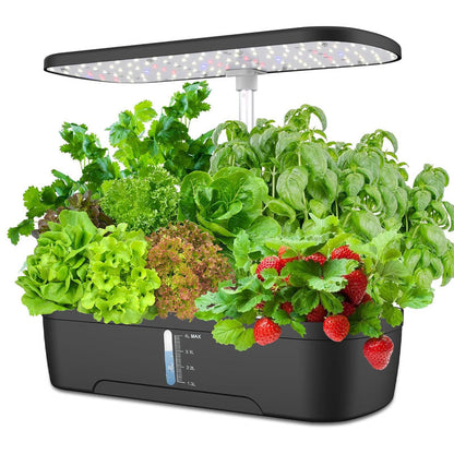 Grow Fresh Greens Indoors 5x Faster Anytime