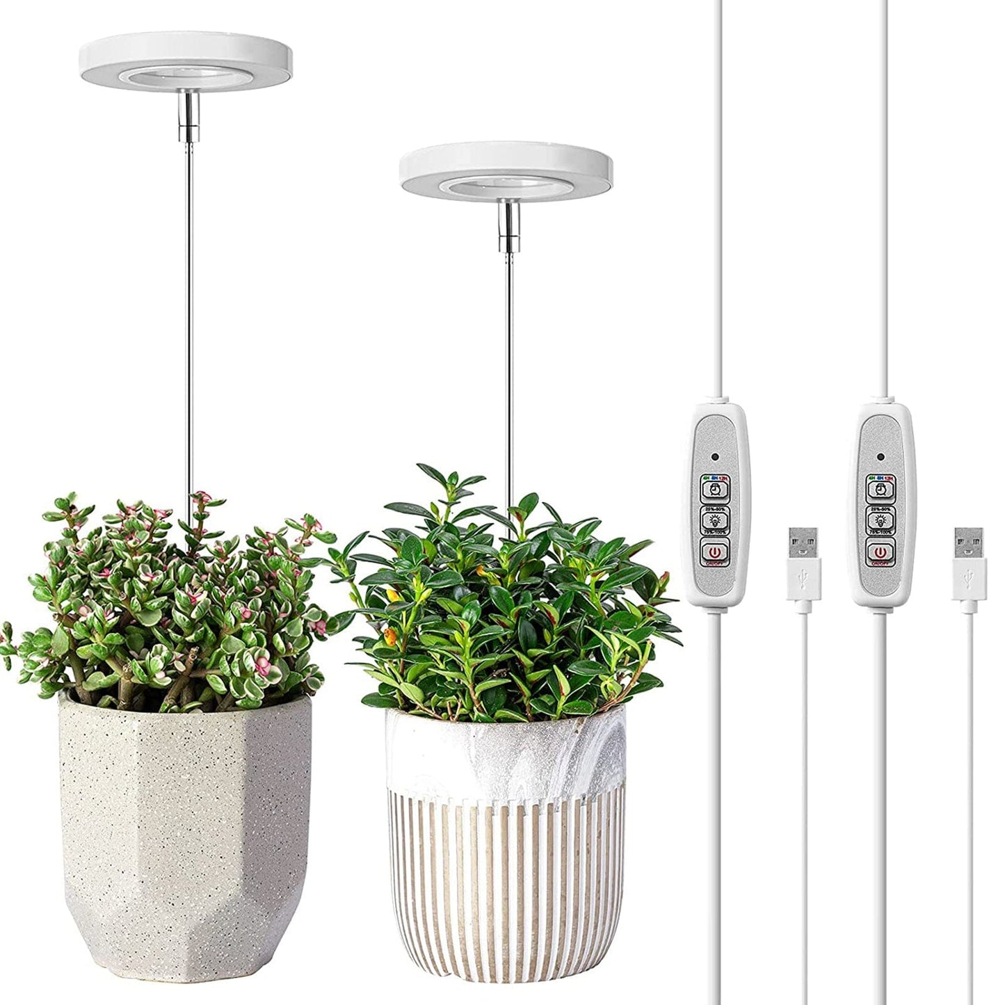 Full Spectrum Light for Promoting Indoor Plant Growth