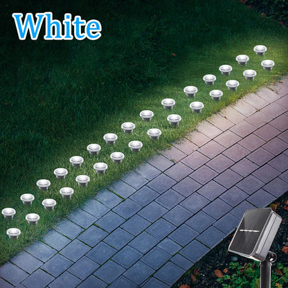Solar LED Garden Path Lights | 15/30 LEDs | 8 Modes | IP65 Waterproof