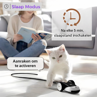 Cat Activity Toy – Keeps Your Feline Engaged and Entertained