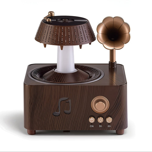 Warm Aromatherapy Diffuser to Combat Winter Dryness with Soothing Scents