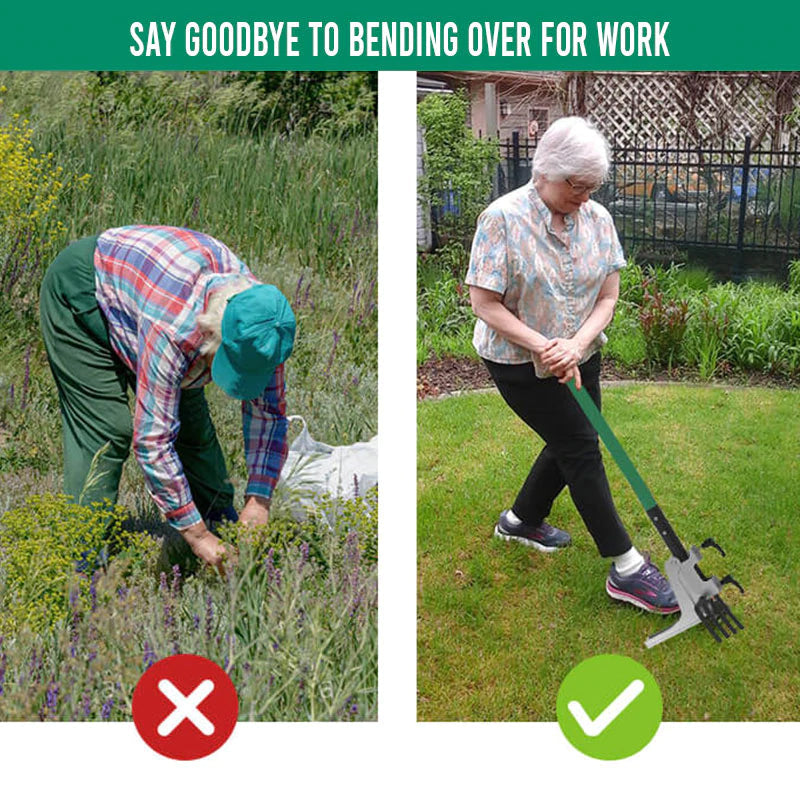 Easy Gardening System for Pain-Free Upright Planting