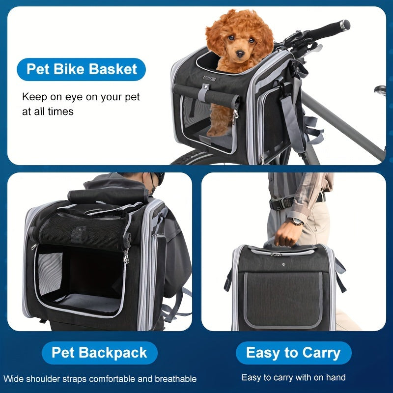 Keep Your Small Pet Cool, Safe, and Happy During Rides