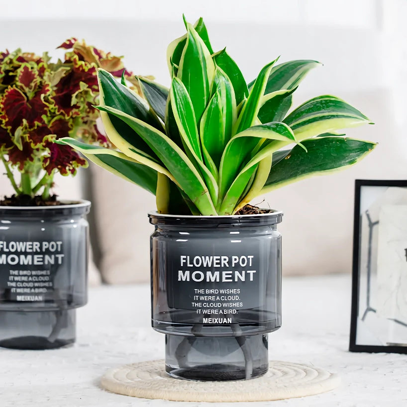 Effortless Watering System for Succulents - Aqua Planter