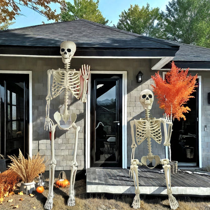 Posable 5.5 Ft Skeleton Decoration for Outdoor Spooky Display