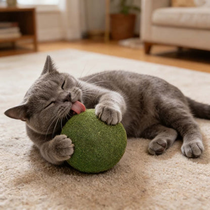 Large Catnip Ball