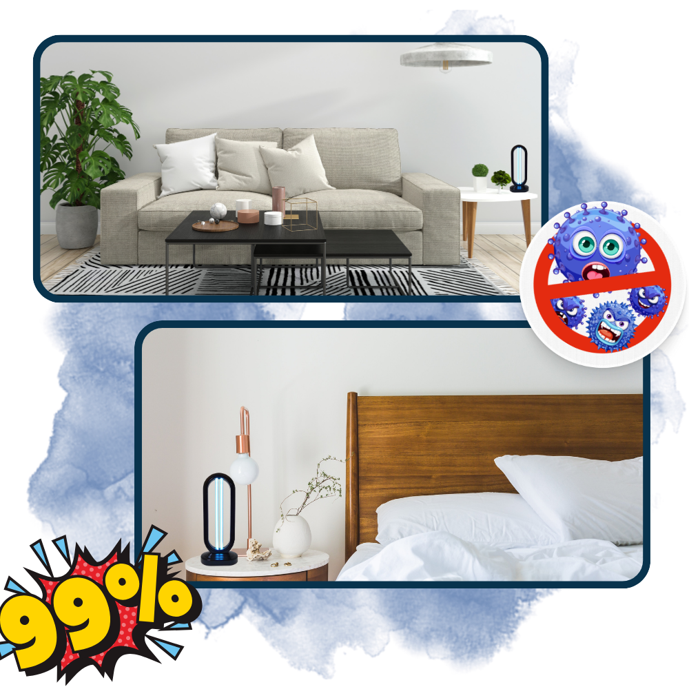 Rapid Bed Bug and Germ Elimination for a Safer Home