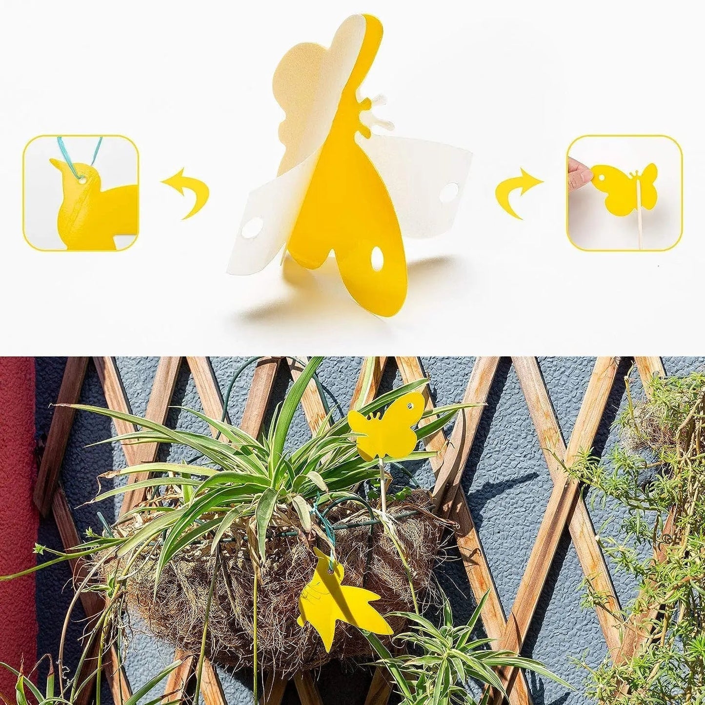 Chemical-Free Protection Against Flying Plant Pests