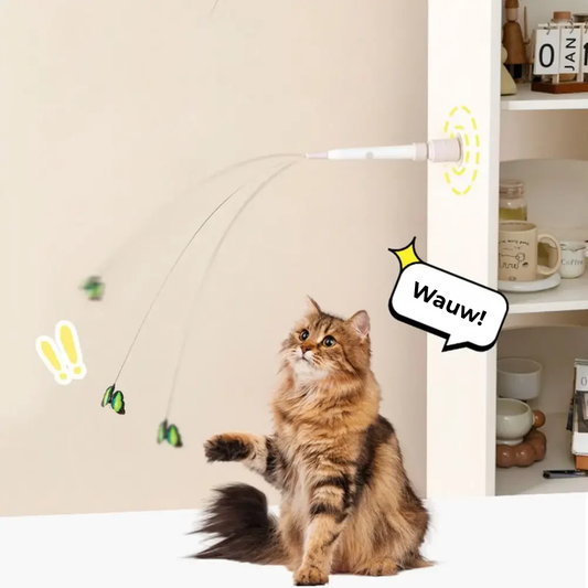 Engage Your Cat's Hunting Instincts Instantly with PurrSprint