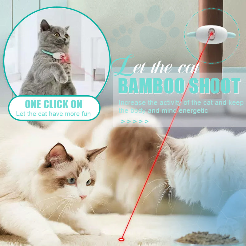 Keep Your Cat Healthy, Happy, and Energetic Every Day