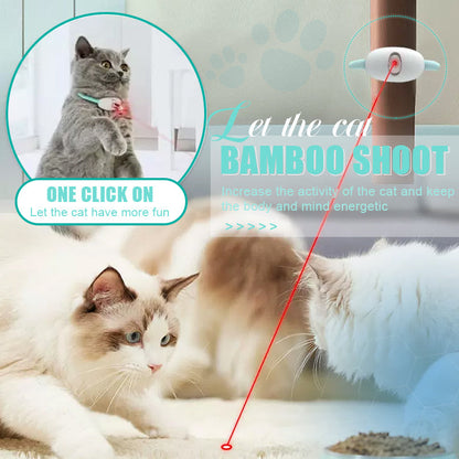 Keep Your Cat Healthy, Happy, and Energetic Every Day