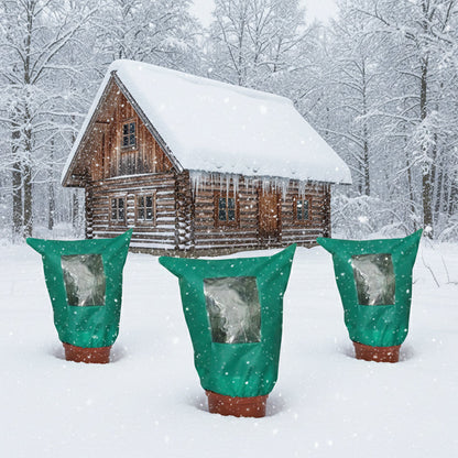 Protect Your Plants from Winter Cold and Help Them Thrive