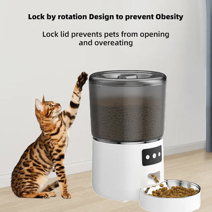 Automatic Pet Feeder with WiFi and DoodleAPP Control