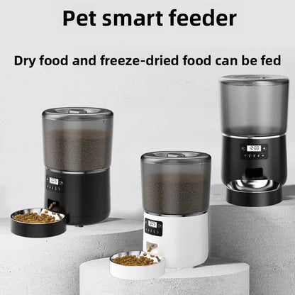 Automatic Pet Feeder with WiFi and DoodleAPP Control