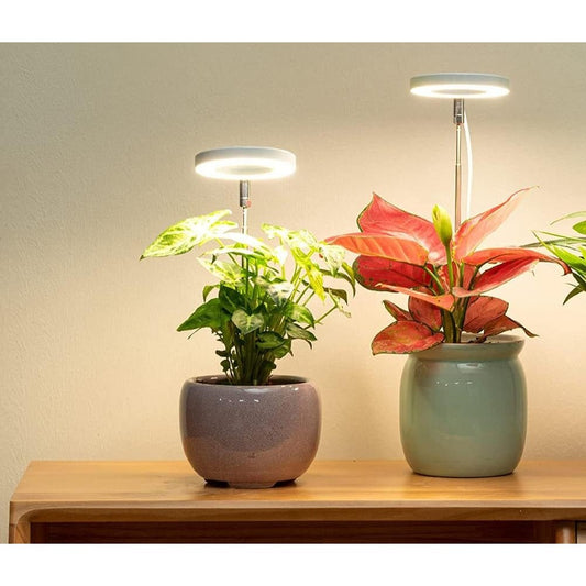 Full Spectrum Light for Promoting Indoor Plant Growth