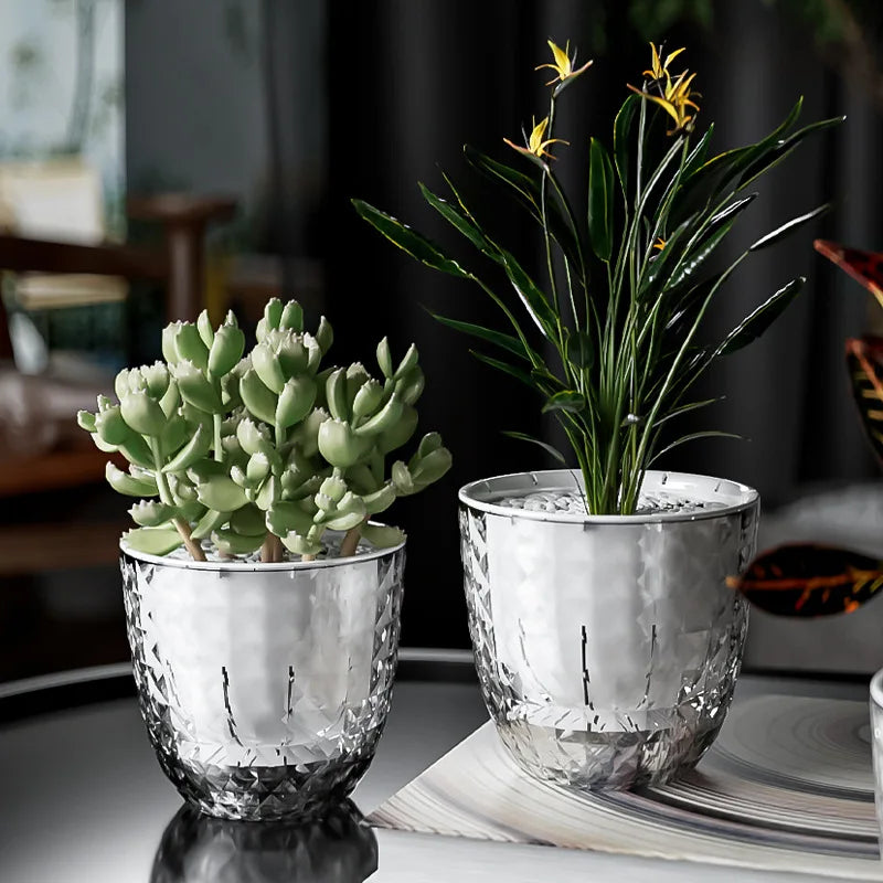 Transparent Flower Pot with Self-Watering and Double Wall System