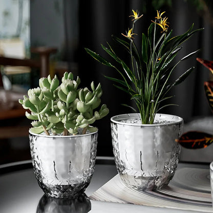 Transparent Flower Pot with Self-Watering and Double Wall System