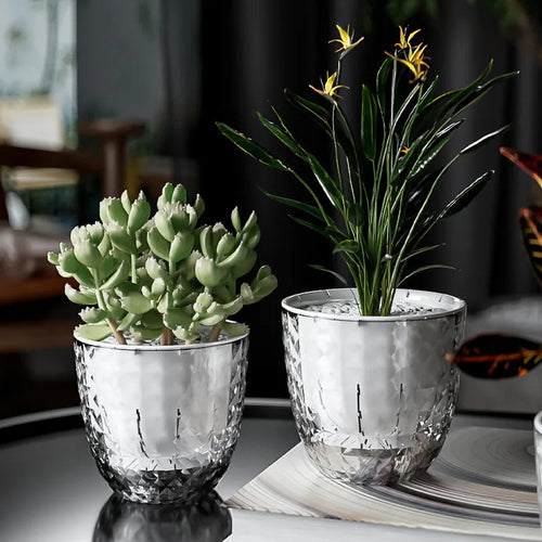 Transparent Flower Pot with Self-Watering and Double Wall System