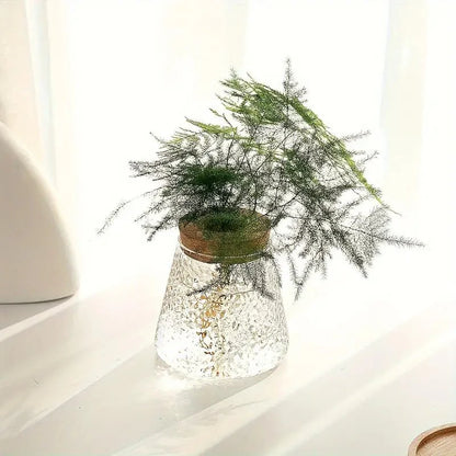 Elegant Glass Plant Growing Pot – Ideal for Garden Enthusiasts
