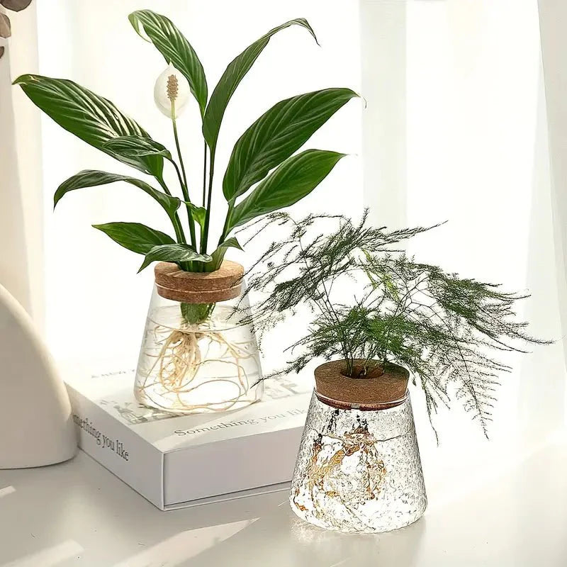 Elegant Glass Plant Growing Pot – Ideal for Garden Enthusiasts