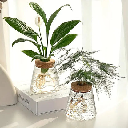 Elegant Glass Plant Growing Pot – Ideal for Garden Enthusiasts