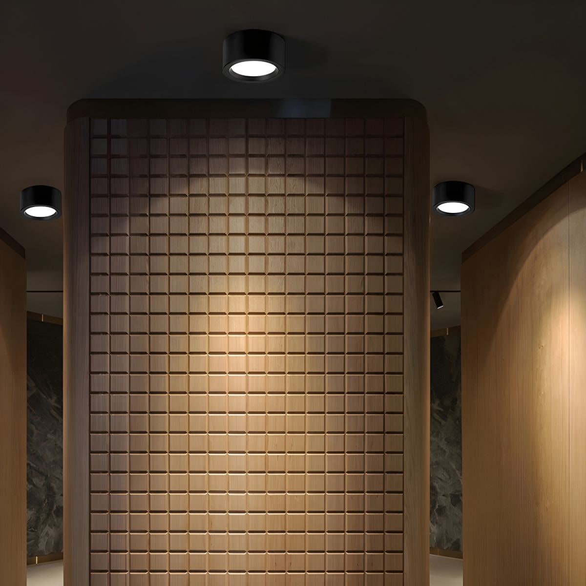Sleek LED Ceiling Light Fixture for Effortless Elegance