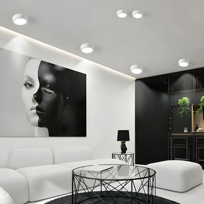 Sleek LED Ceiling Light Fixture for Effortless Elegance