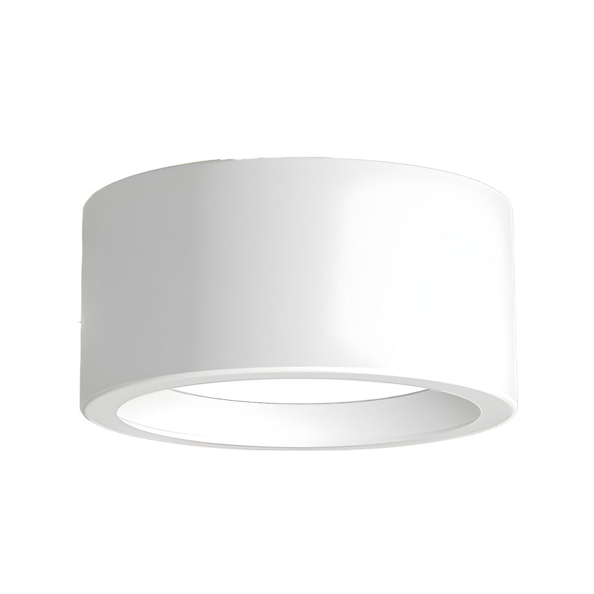 Sleek LED Ceiling Light Fixture for Effortless Elegance