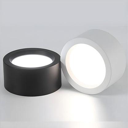 Sleek LED Ceiling Light Fixture for Effortless Elegance