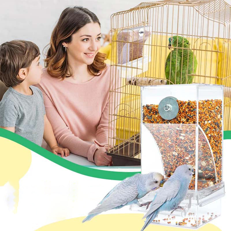 Transparent Bird Feeder with Automatic Overflow Protection