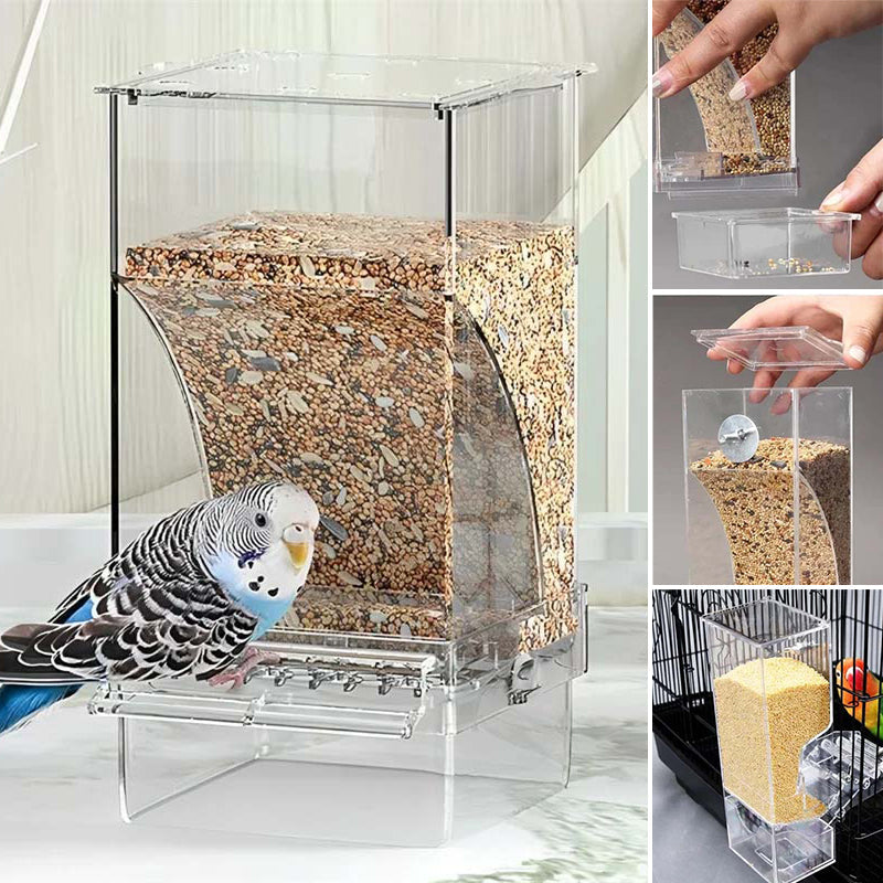 Transparent Bird Feeder with Automatic Overflow Protection