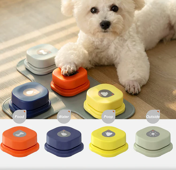 Interactive Communication Buttons for Dog Training