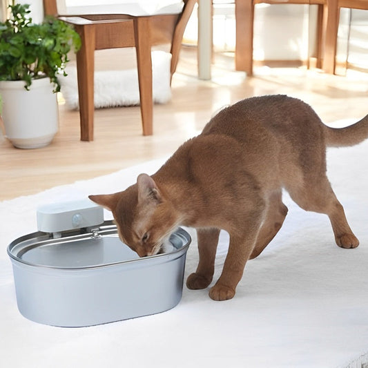 Automatic Wireless Pet Drinking Fountain