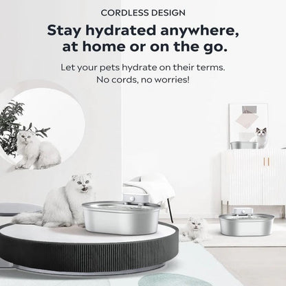 Automatic Wireless Pet Drinking Fountain