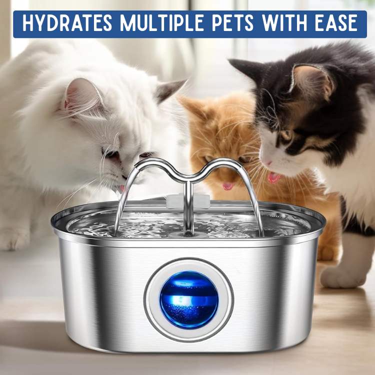 Stainless Steel Cat Water Dispenser – 2L, Quiet, Hygienic, BPA-free