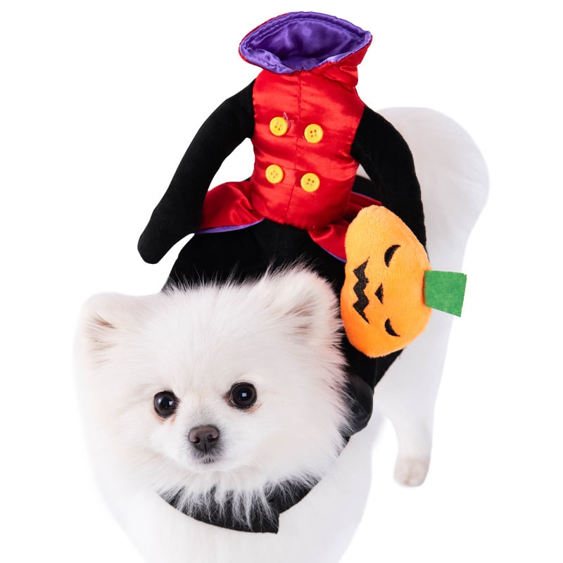 Playful Pet Outfit with Whimsical Holiday Themes and Easy Fit