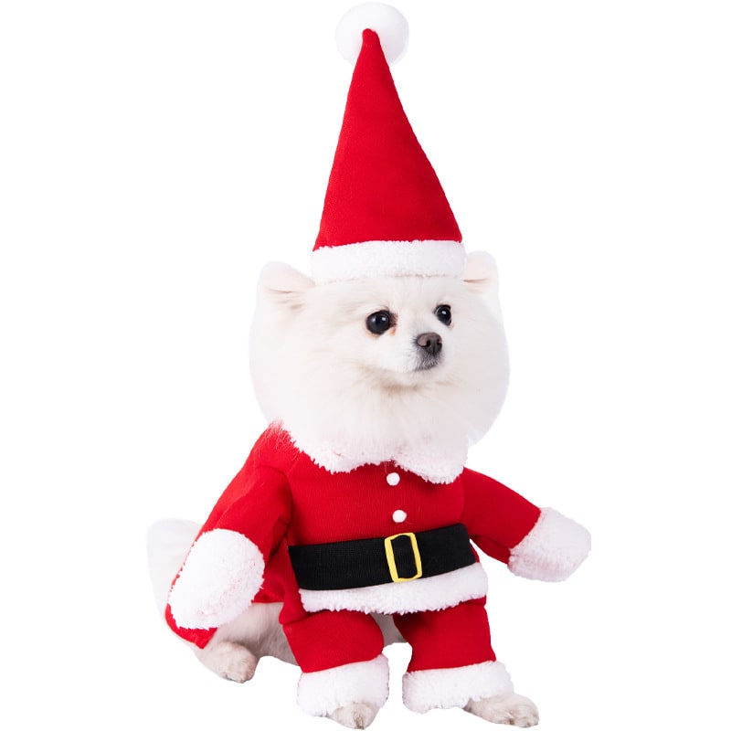 Playful Pet Outfit with Whimsical Holiday Themes and Easy Fit