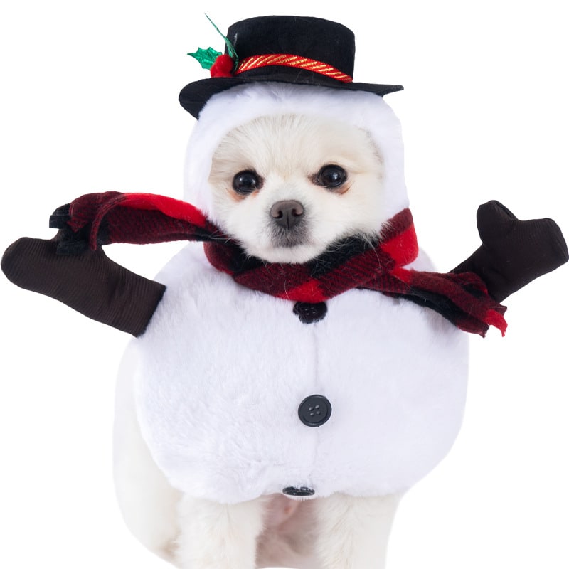 Playful Pet Outfit with Whimsical Holiday Themes and Easy Fit
