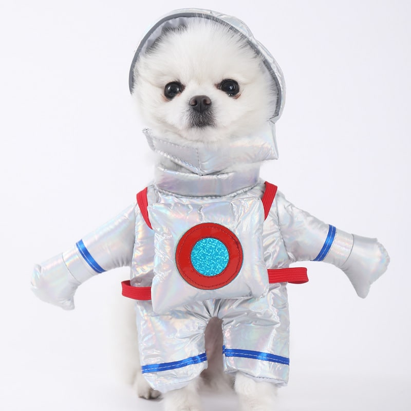 Playful Pet Outfit with Whimsical Holiday Themes and Easy Fit