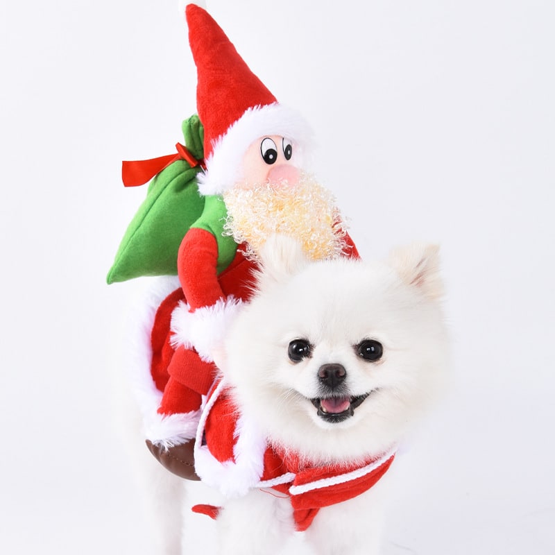 Playful Pet Outfit with Whimsical Holiday Themes and Easy Fit