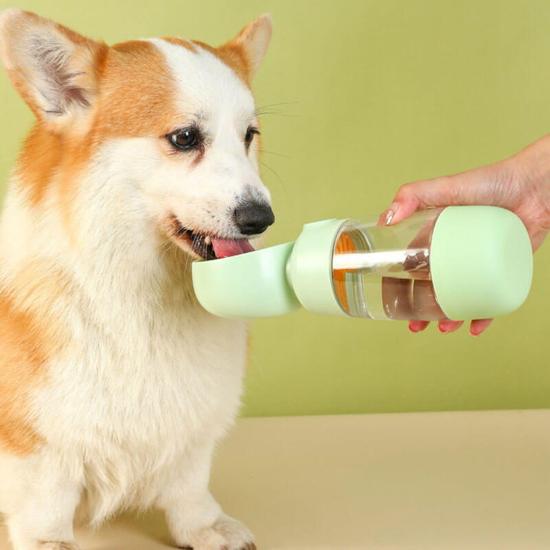 Portable Bottle for Pet Food and Water