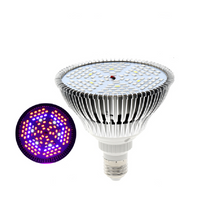 120 LEDs