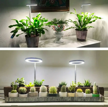 Full Spectrum Plant Lamp with Adjustable Stand - Last Day Discount